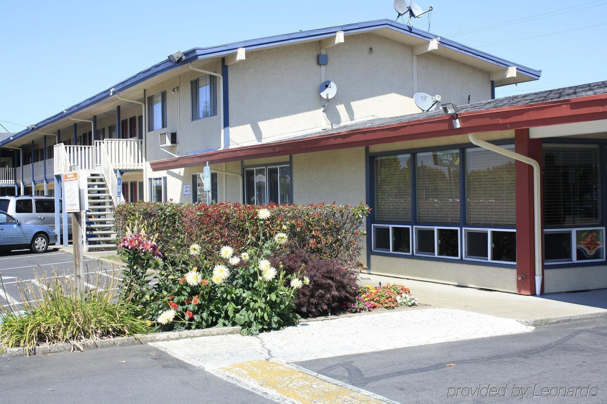 Rodeway Inn Albany Ngoại thất bức ảnh